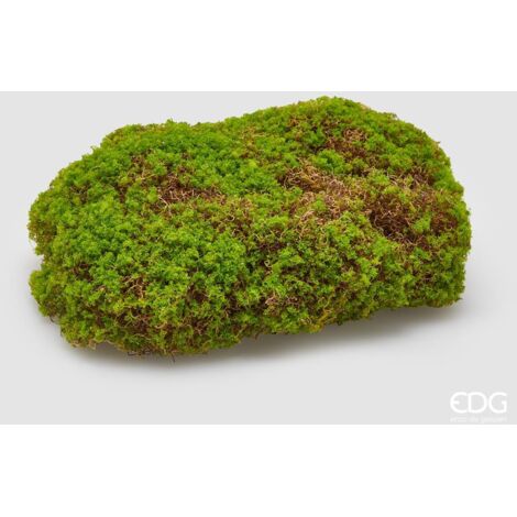 EDG Zolla Muschio L 30 x L 21 cm