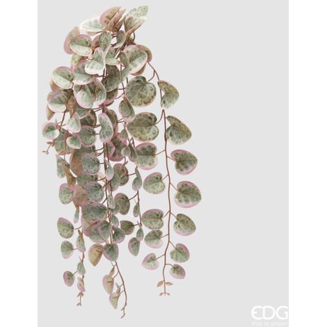 EDG Ceropegia Cadente Verde E Rosa H 47 cm (1/3)
