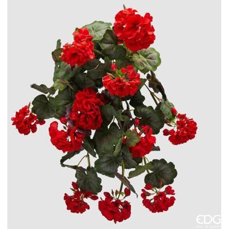 EDG Geranio Cespuglio x 5 Con Foglie Rosso H 50 cm