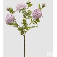 EDG Ramo Di Rosa Sonia Con Foglie E Bocciolo H 65 Malva