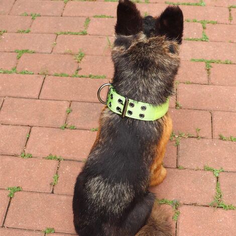 Taktisches Hundehalsband Reflektierendes Nylon-Hundehalsband mit Metallschnalle und Steuergriff für mittlere Größe