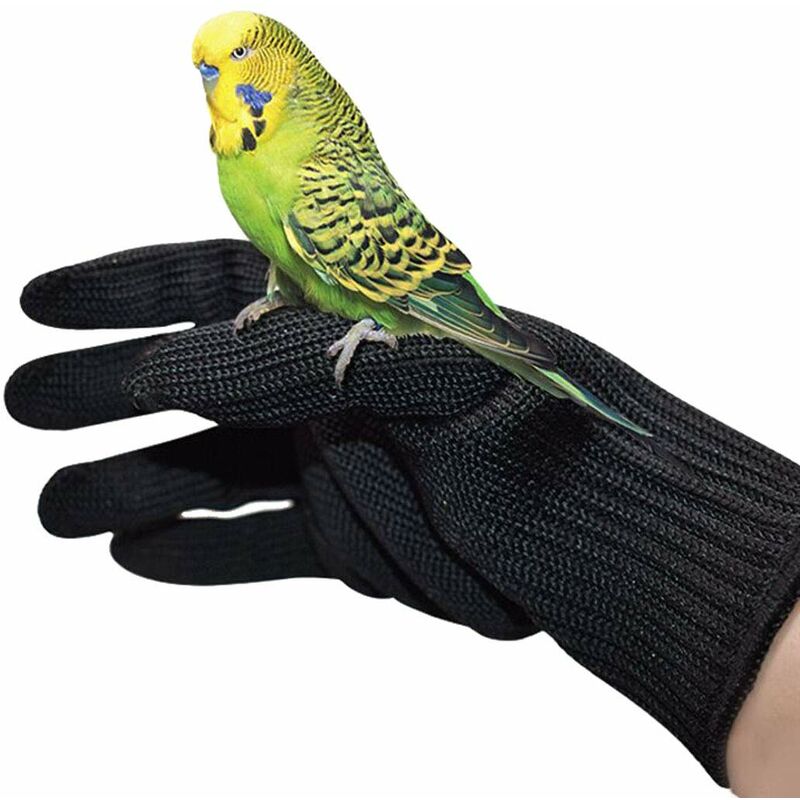 1 par de guantes antimordida para entrenamiento de aves, guantes protectores para masticar loros y mascotas