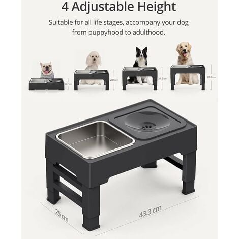 Elevated dog best sale water bowl