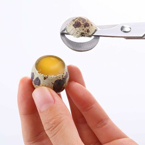 Stainless Steel Egg Cutter Hexagonal Cutting Cooked Eggs Tool