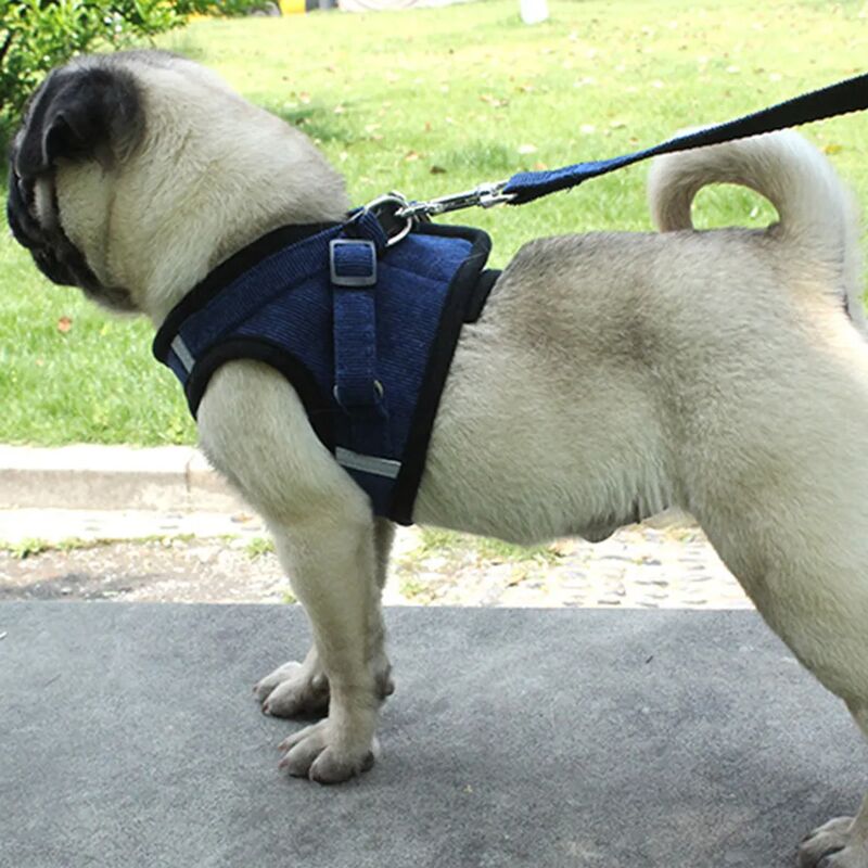 Gilet réfléchissant pour animaux de compagnie, ensemble de laisses pour  chats, chiot, entraînement, sangles de marche pour petits chiens, sangle de  poitrine, carlin, bouledogue