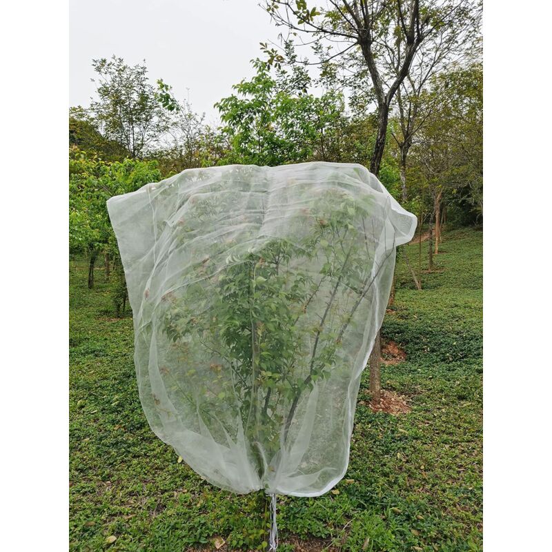 Filet pour Arbre Fruitier (1.2 x 1,8 m/Taille de Maille 0,8 mm), Filet de  Protection Contre Les Insectes, Lot de 2 Filets de Protection des Plantes  avec Cordon de Serrage, Filet de Jardin