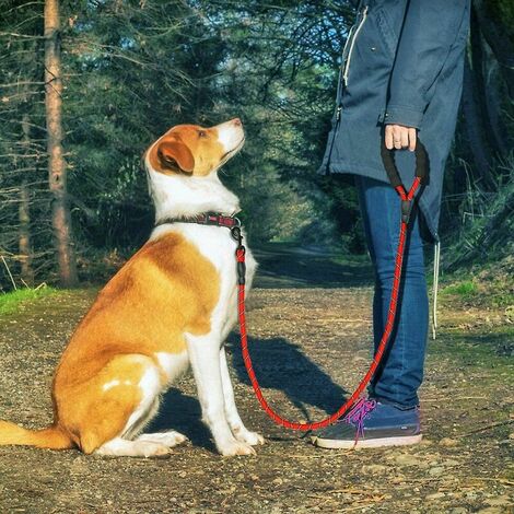 Corde de laisse de chien durable grand moyen petit chien laisses ceinture