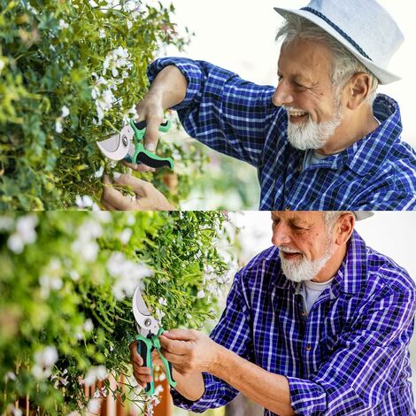 Cisaille en acier pour la taille de plantes, d'arbustes, de fleurs