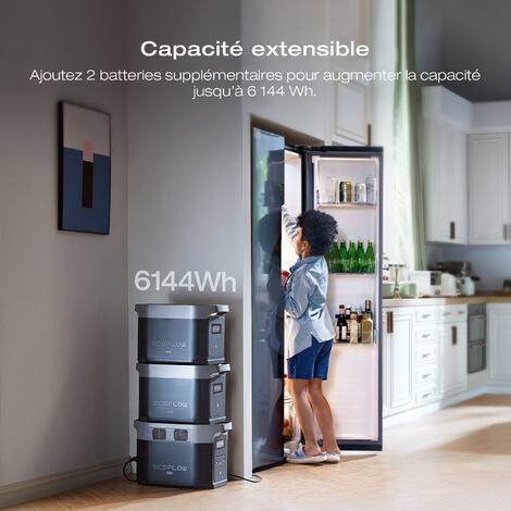 Station électrique portable EcoFlow DELTA 2 Max, capacité 2048Wh, batterie LFP 3 000 cycles, recharge rapide, puissance de sortie 3100 W, générateur solaire silencieux, pour la maison/camping/voyages