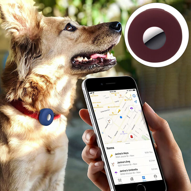 Ring's new Pet Tag accessory helps reunite lost pets with their owners