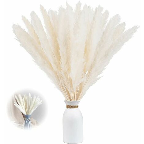 Faux Pampas Grass - 6 Stems - 38 Long - White  Grass decor, Tall vase  decor, White feather decor