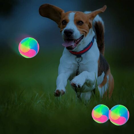 Lighted clearance dog balls