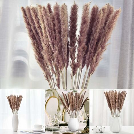 NOVA Bliss Dried Pampas Grass Decor - with Natural Dried Wheat. Large Dried  Flower Bouquet of 40 Dried Grass Stems for Home Decor, Kitchen Decor