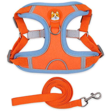 Rope dog best sale harness