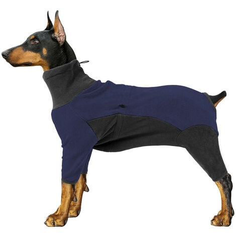 Doberman clothing 2024