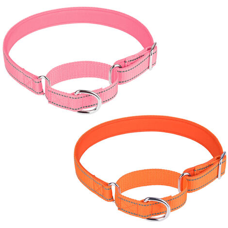 Pet training collar 2024 for small dogs