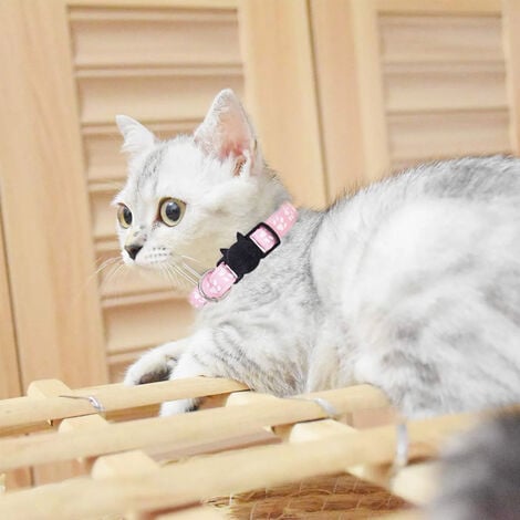 Kitten collar with on sale bell