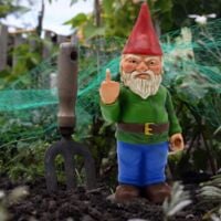 15 Cm Middle Finger Garden Gnome - Gnomes Go Away Statue Funny