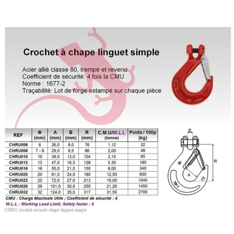 Lot De 2 Poids à Crochet Lestés – 5 Lbs Et 9.5 Lbs – Matériel Médical (occasion)