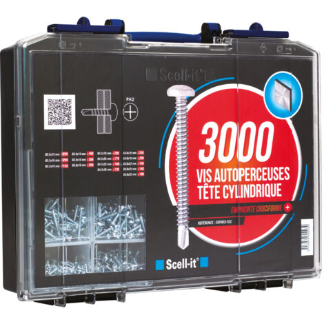 3000 vis autoperceuses ezp - tête cylindrique - Ø3,5 à 4,8mm - SCELL-IT - COF003-TCC (1/5)