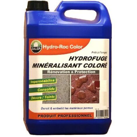 Dalep – Hydrofuge minéralisant coloré sable – Seau 5 L – Prêt à l'emploi pour béton et matériaux poreux – Couvre 3 à 5 m² par litre (1/3)