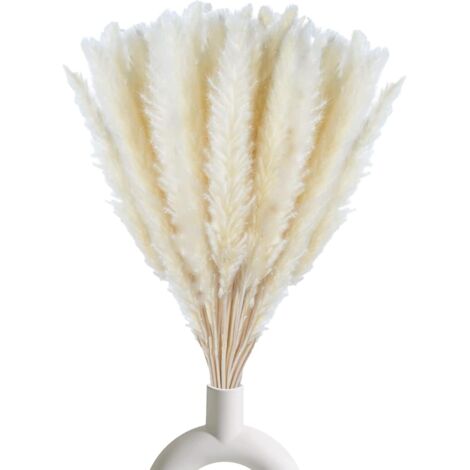 Juego de 30 decoraciones de hierba de la pampa seca, flores secas naturales blancas de 45 cm, casa para sala de estar, dormitorio, interior, hogar, cocina, balcón (jarrón no incluido). (1/5)