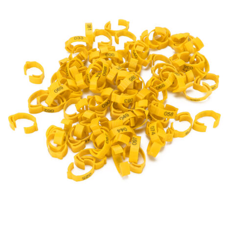 Yesito Arnés De Pollo Pañal Tamaño De Gallina Con Correa A J | Meses Sin Interés - Foto 9