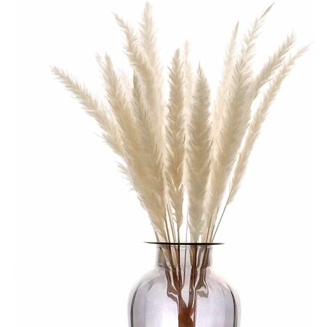 MINKUROW Tifa Essiccata 30 Pezzi, Bcc 55 Cm Tifa Essiccata Naturale Bouquet Decorativo Vaso Artificiale Ramo Di Un Albero Pianta Boemia Casa Balcone Cucina Soggiorno Tavolo Matrimonio, Bianco (1/5)