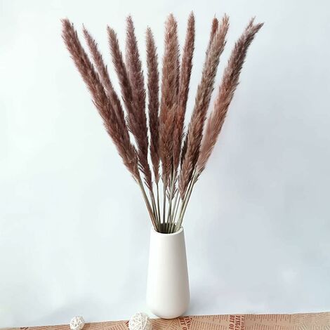 MINKUROW Bcc 15 Piante Essiccate (55 Cm) Adesioni Di Fiori Naturali, Bouquet, Decorazioni Per La Casa Boho, Camera Da Letto, Soggiorno, Bagno, Oggetti, Matrimonio Moderno, 55 Cm, Colore Originale (1/5)