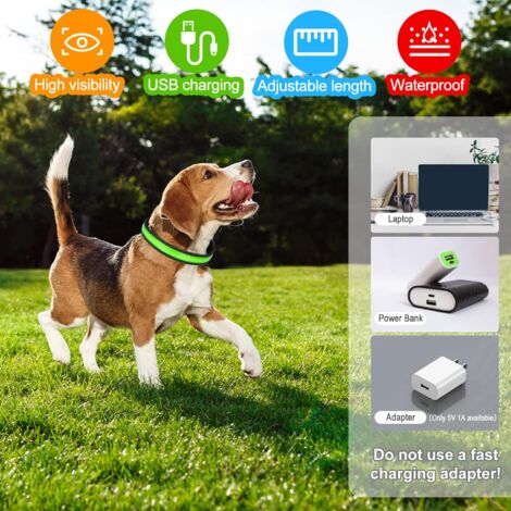 Collare Luminoso per Cani, Collare per Animali Domestico LED Ricaricabile  USB, C