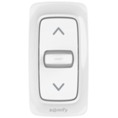 Somfy – Inverseur Inis saillie – Position fixe – Télécommande murale pour motorisations – Connecteurs rapides pour installation facile