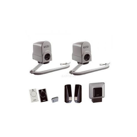 Kit automatisme de portail FAAC 104575144 24v Energy