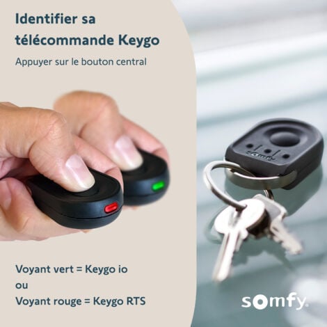 SOMFY 1870880 - Télécommande Keygo io - Pour commander jusqu'à 4 moteurs de porte de garage ou portail io