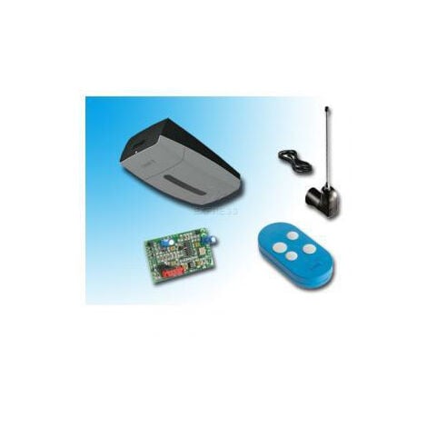 KIT VER10DMS Motorisation porte de garage CAME 24V - CAME
