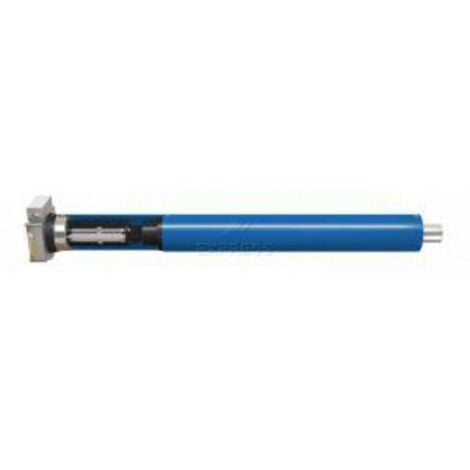 Motorisation porte de garage A-OK AM60-100 12 M FDM