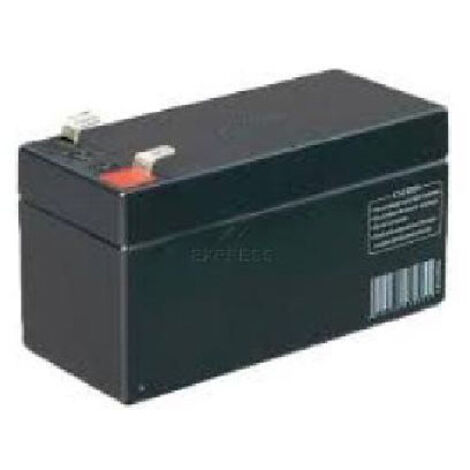 FR0748 Batterie de secours CAME 12V
