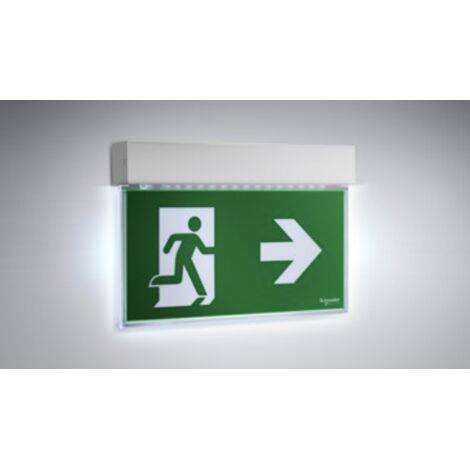 Lampada emergenza a bandiera Schneider ExEasysign 24 Metri SE-SA OVA38250