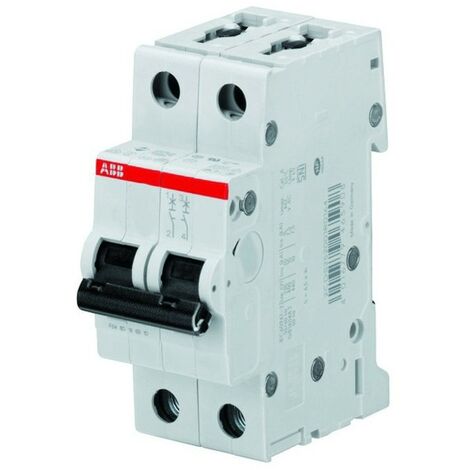 Interruttore Magnetotermico Abb 1P+N 25A 4,5kA curva C 2M S598415