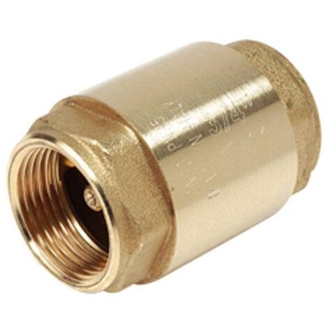 Valvola di ritegno Giacomini a disco 3/4 pollici R60Y034