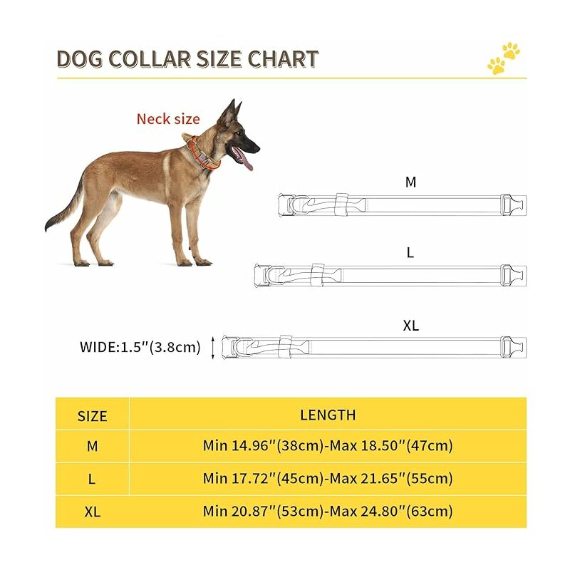 Collier de chien tactique personnalisé avec poignée fabricants et  fournisseurs - Échantillon gratuit en stock - Dyneema
