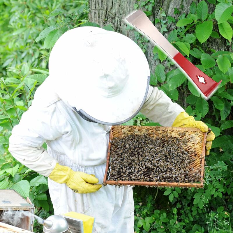 Multifonction ruche miel couteau grattoir cadre nettoyant