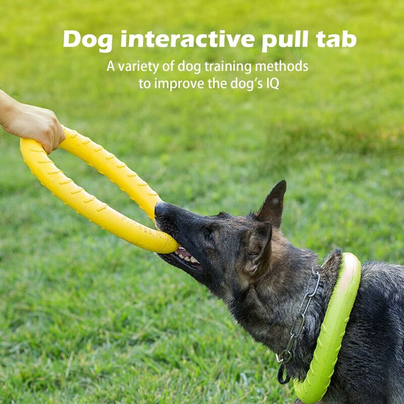 Jouets indestructibles à mâcher pour chien jouets interactifs – Petmonde