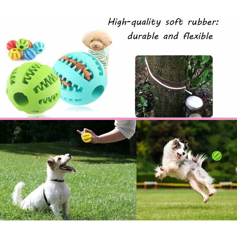 Shooter Ball. Frisbee, Lanceur de balle - MORIN FRANCE : accessoires et  jouets pour chien et chiot