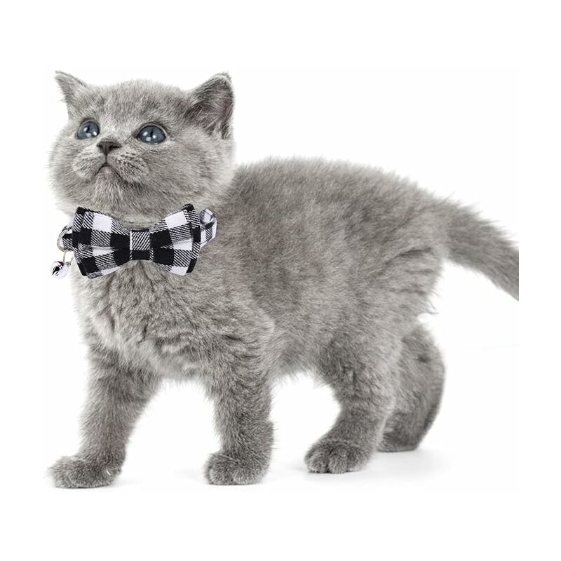 Collier pour chat Airtag, échappée de collier de chaton réfléchissant avec  porte-étiquette d'air et cloche pour les chiots de garçon de garçon de chat