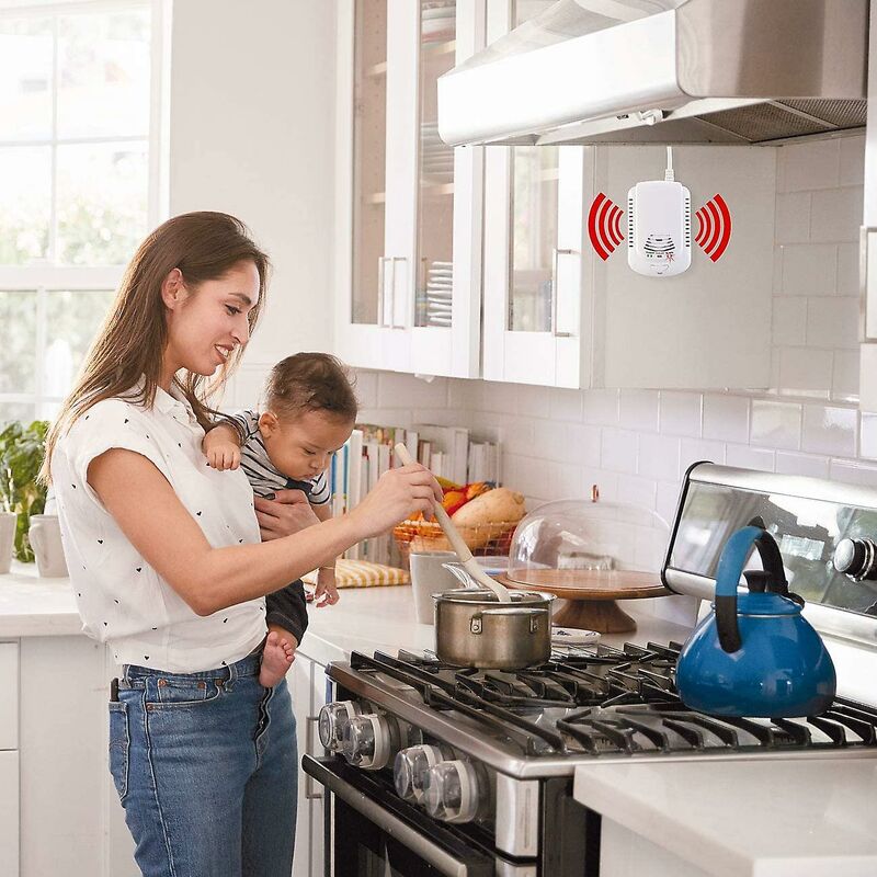 Avertisseur sonore à Gaz de 300ml