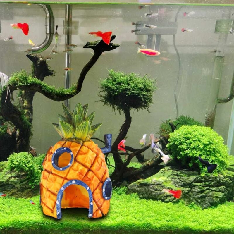 Décoration de réservoir de poisson - Accessoires d'aquarium, décor