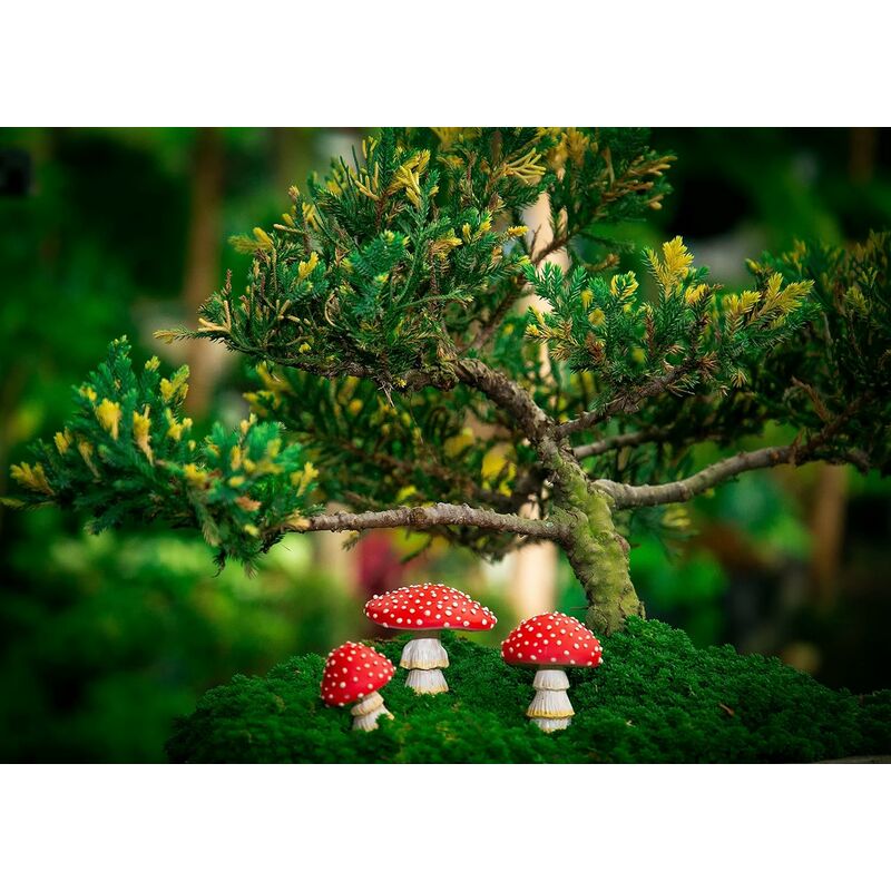 Elovan Accessoires de jardin féerique de décor de champignons - Décoration  de jardin extérieur Décoration de champignons Ornement pour la décoration  de jardin Statues de champignons préférées, 18016 1 : : Tout le  reste