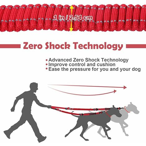 Laisse pour chien avec poignée rembourrée corde anti-traction pour chiens  de taille moyenne