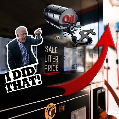 100 autocollants I Did That Biden, Biden I Did That Stickers, Funny I ...