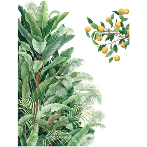 Stickers Muraux Plantes Tropicales Vertes Feuille De Banane , La Nature  Palmier Amovible Bricolage Autocollant Décoratifs, Vi[N585] - Cdiscount  Maison